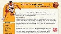 Sokol basketbal